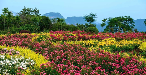 黛眉山景区第 56 张图片