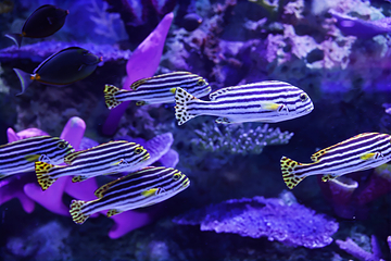 深圳恒远海立方环游城第 21 张图片