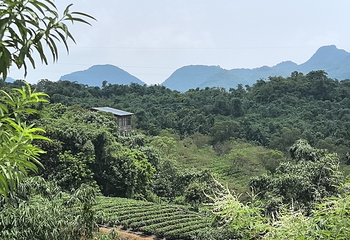 茶趣园第 59 张图片