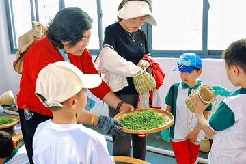 安徽白云春毫茶旅研学基地第 9 张图片