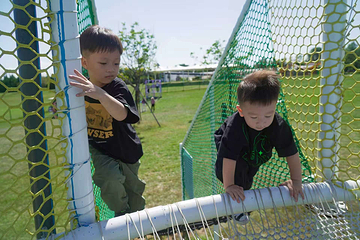 泰生小镇旅游景区第 64 张图片