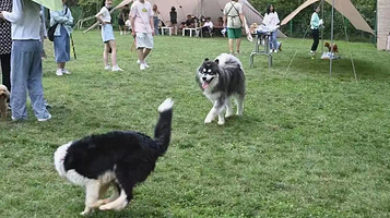 开远哆哆萌宠乐园