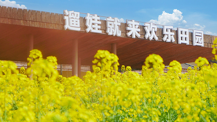 黄龙溪欢乐田园第 54 张图片