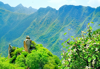 翠华山·秦岭终南山世界地质公园第 26 张图片