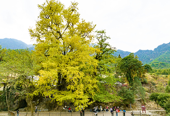 宜春明月山旅游区第 66 张图片