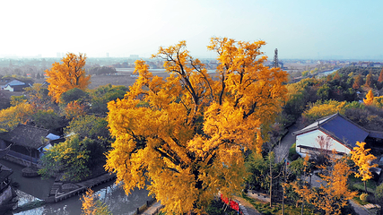 梅花洲第 81 张图片