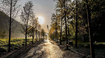 凤梨屋水上庄园