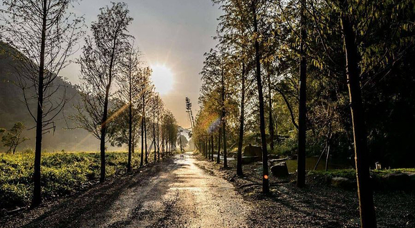 凤梨屋水上庄园