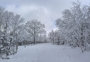 北大湖滑雪度假区第 37 张图片