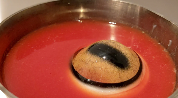 Disgusting Food Museum Berlin