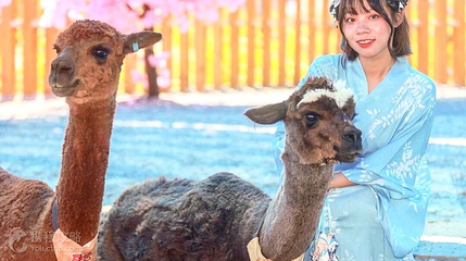 月崖湾亲子农场第 5 张图片