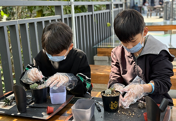 鹿芝谷第 15 张图片