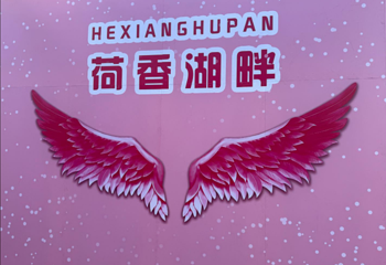 荷香湖畔游乐园第 42 张图片