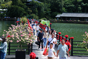 普洱茶马古道遗址公园第 55 张图片