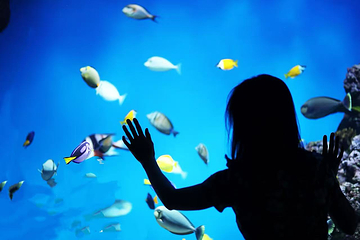 广州海屿汇海洋公园第 3 张图片