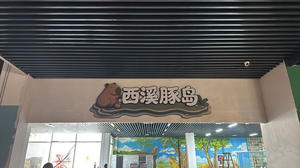 西溪豚岛第 1 张图片