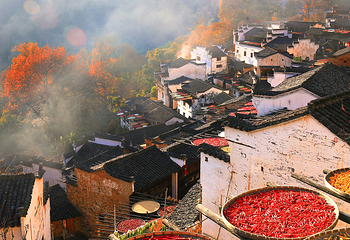 婺源篁岭景区第 55 张图片