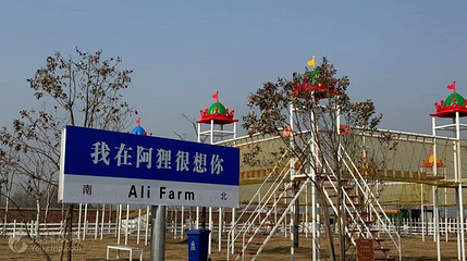 阳光阿狸开心农场第 3 张图片