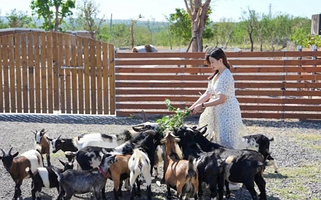 垦丁灰太狼生态教育园区