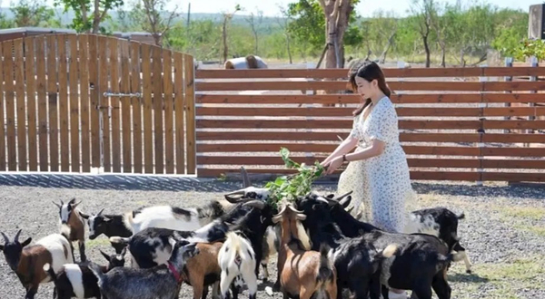 垦丁灰太狼生态教育园区