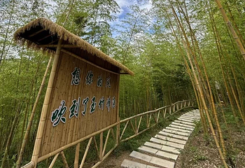 峨山彝人谷竹海景区第 36 张图片