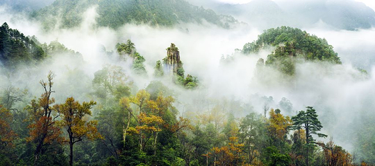 莽山旅游区国家森林公园第 58 张图片
