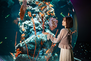 神户都市型水族馆 AQUARIUM×ART átoa