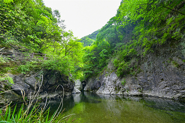 南山不老谷景区第 31 张图片