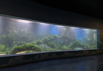 杭州西溪水族公园第 10 张图片