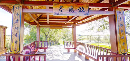 扎龙生态旅游区第 48 张图片