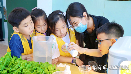 佳沃世界第 26 张图片