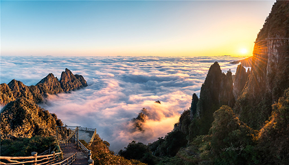莽山五指峰景区第 11 张图片