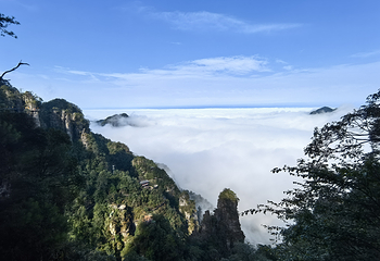 大瑶山盘王界景区第 45 张图片