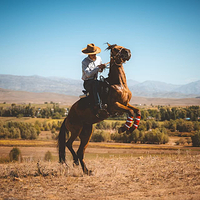 一牧场马术基地
