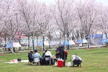 紫薇都市田园第 45 张图片