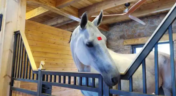 济西湿地马术俱乐部