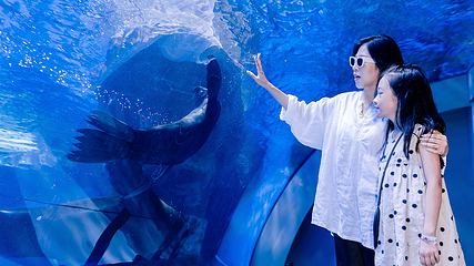 郑州海昌海洋公园第 61 张图片