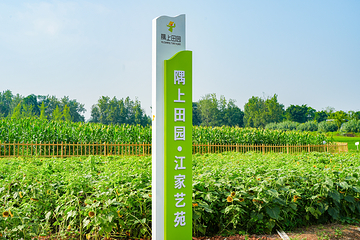 环城生态区·隅上田园江家艺苑第 4 张图片