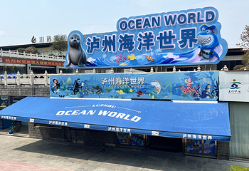 泸州海洋世界第 6 张图片