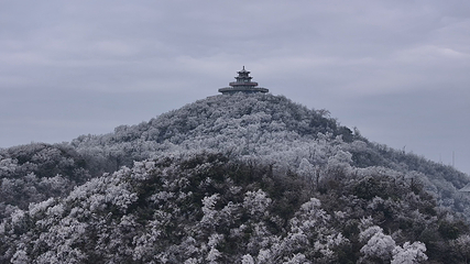 天门山国家森林公园第 291 张图片