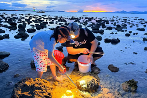 三亚海棠湾福来赶海俱乐部