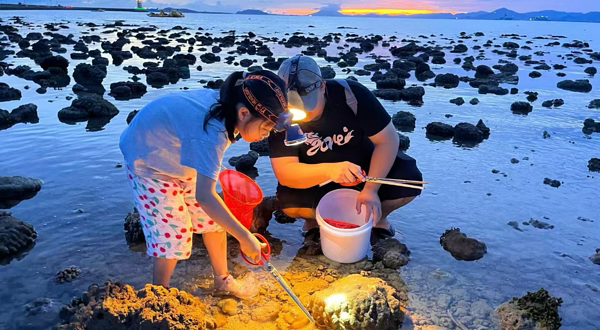 三亚海棠湾福来赶海俱乐部