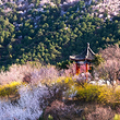 北京西山国家森林公园