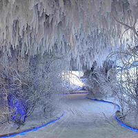 北山四季越野滑雪场