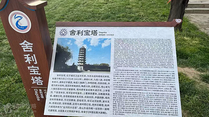 临清舍利宝塔第 5 张图片