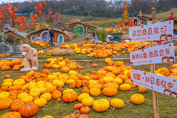 云上草原(余村)度假区第 64 张图片