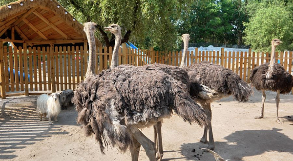 吉林乌拉游乐园