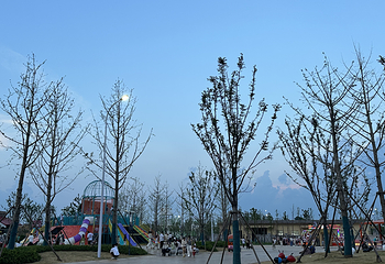 宿迁森迪野生动物世界第 36 张图片