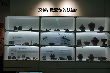 新琅琊恐龙展-《人与生物学》展学空间第 8 张图片
