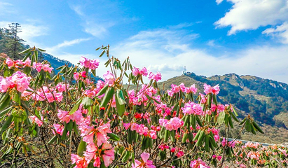 神农架风景区第 51 张图片